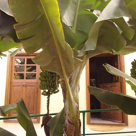 إرميغوا Casa Rural Llano Campo المظهر الخارجي الصورة