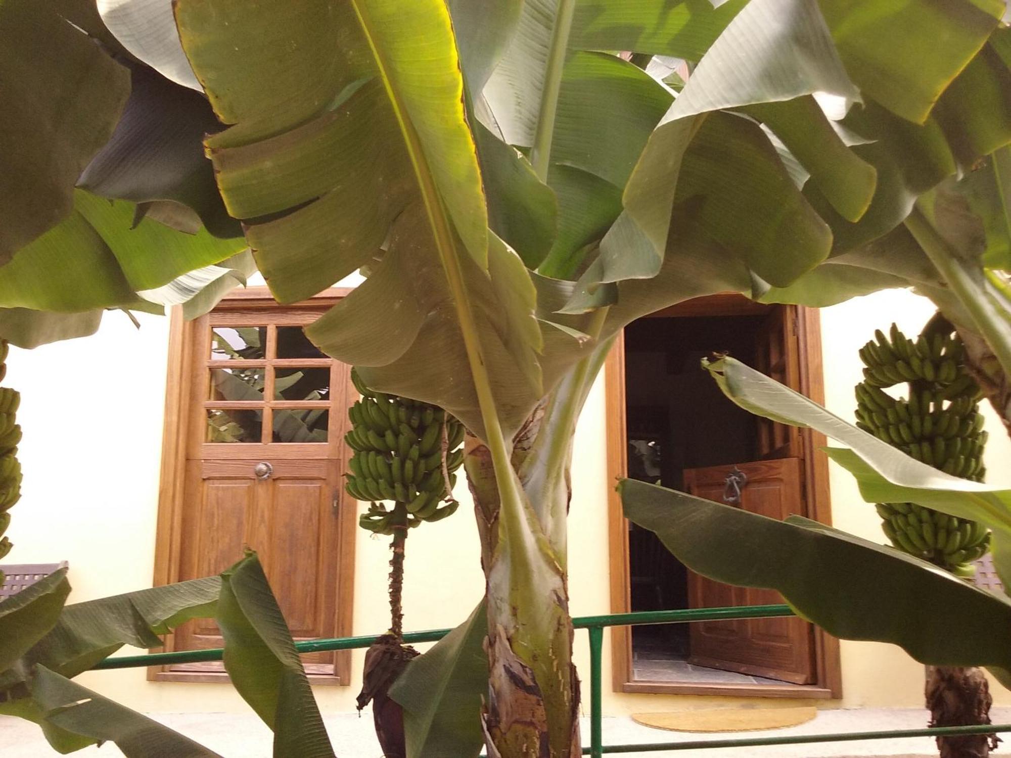 إرميغوا Casa Rural Llano Campo المظهر الخارجي الصورة