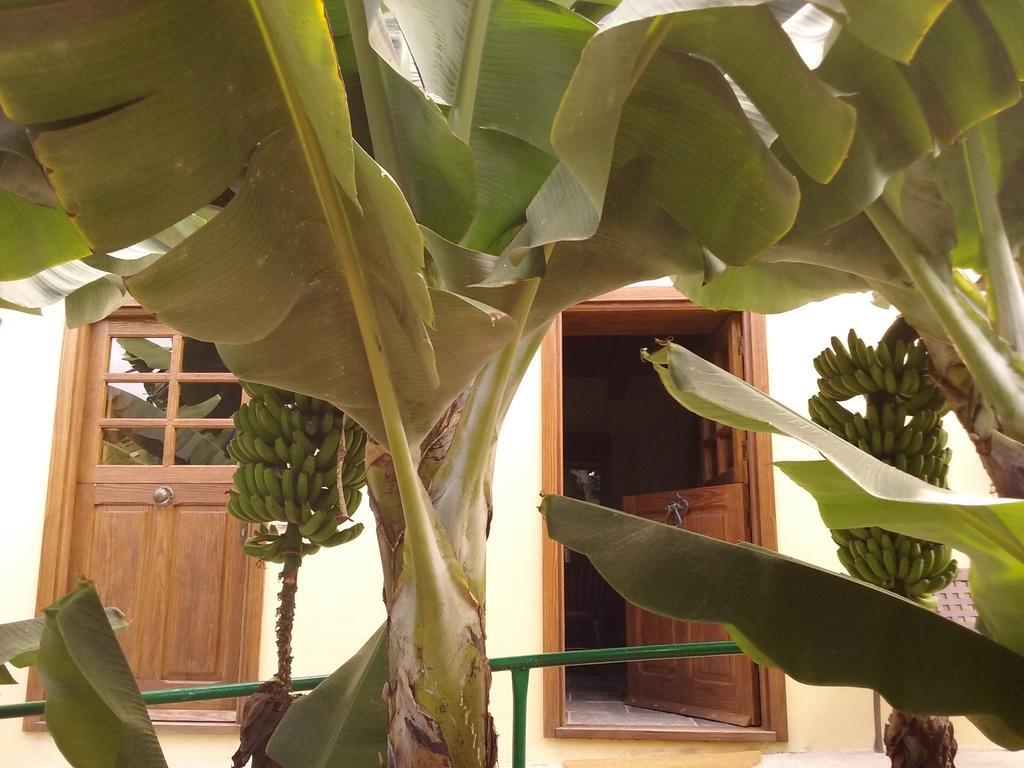 إرميغوا Casa Rural Llano Campo المظهر الخارجي الصورة