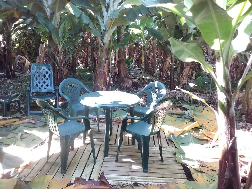 إرميغوا Casa Rural Llano Campo المظهر الخارجي الصورة