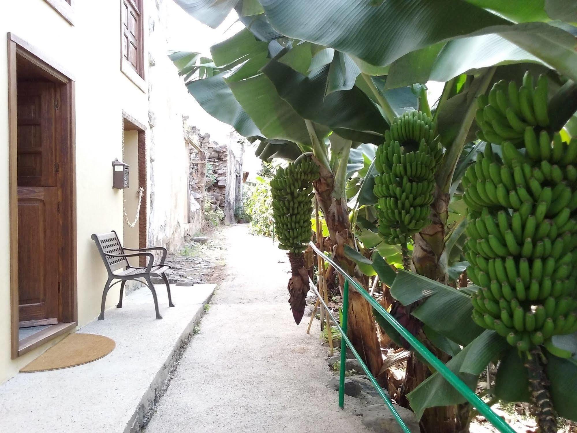 إرميغوا Casa Rural Llano Campo المظهر الخارجي الصورة